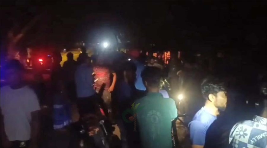 জীবননগরে সড়ক দুর্ঘটনায় প্রবাসী নিহত