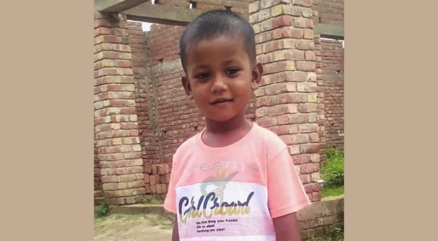 দর্শনায় আবর্জনার গর্তে পড়ে শিশুর মৃত্যু