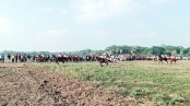 কালিয়ায় বৈশাখী উৎসবে ঐতিহ্যবাহী ঘোড়দৌড়
