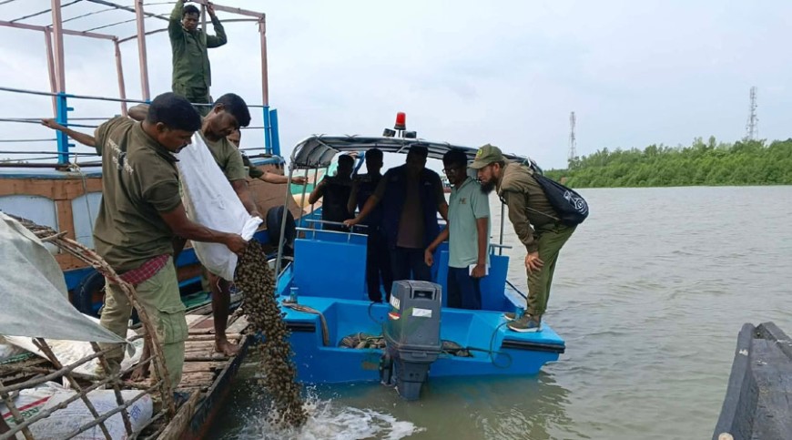 জব্দকৃত আড়াই হাজার কেজি শামুক-ঝিনুক অবমুক্ত