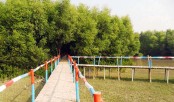 নতুন সাজে দেবহাটা রূপসী ম্যানগ্রোভ