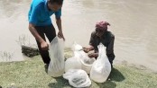 দেবহাটায় ভারতীয় রেণু উদ্ধার, খালে অবমুক্ত