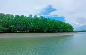 শরণখোলা