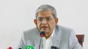 ইউপি ভোট নিয়ে যা বললেন মির্জা ফখরুল ইসলাম