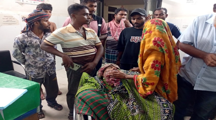 লোহাগড়ায় রাতের আঁধারে টর্চ জ্বেলে দু'পক্ষের সংঘর্ষে আহত ১০