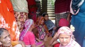 শৈলকুপা