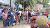 গাংনী