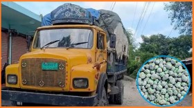 অপরাধ ও বিচার