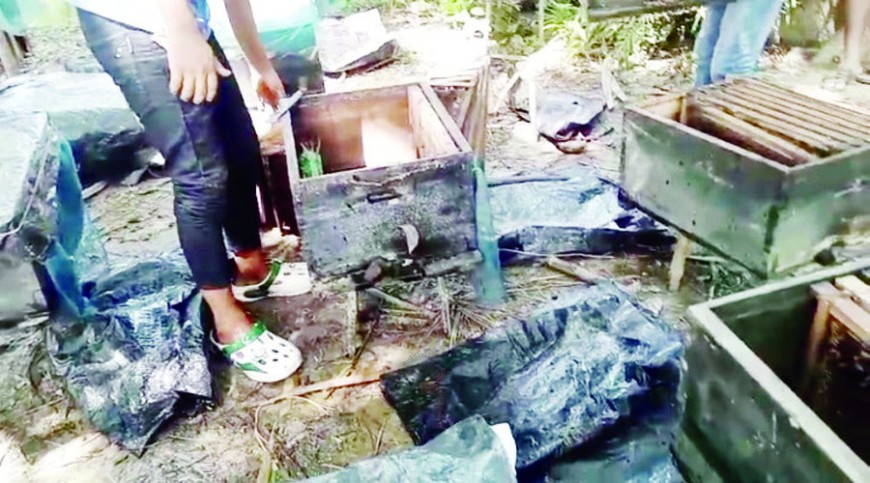 খামারির ২৮০টি মৌ-বাক্স পুকুরে ফেলে বিনষ্ট