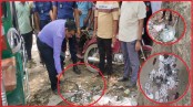 মেয়াদোত্তীর্ণ ব্লাড ব্যাগ-ইনসুলিন উদ্ধার, ফার্মেসিকে জরিমানা