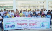 ইনোভেশন ফেয়ারে যবিপ্রবির সাফল্যে আনন্দ র‌্যালি