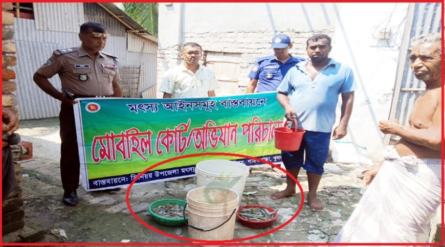 পাইকগাছায় চিংড়িতে অপদ্রব্য পুশ, তিন ব্যবসায়ীর জরিমানা