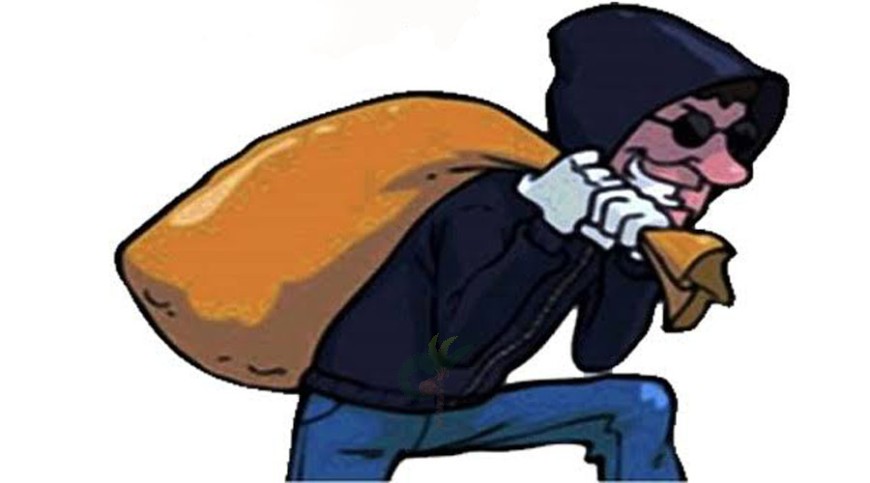 নগদসহ সাড়ে ১১ লাখ টাকা মূল্যের গহনা চুরি