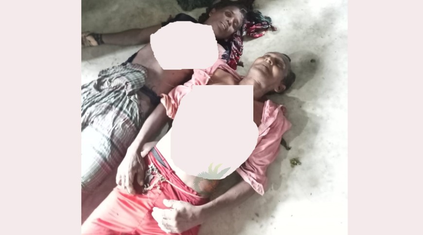 মোরেলগঞ্জে বজ্রপাতে দুই ভাইয়ের মৃত্যু