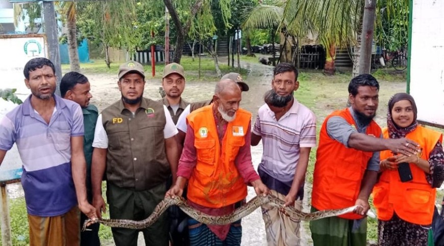 লোকালয়ে অজগর উদ্ধারের পর অবমুক্ত