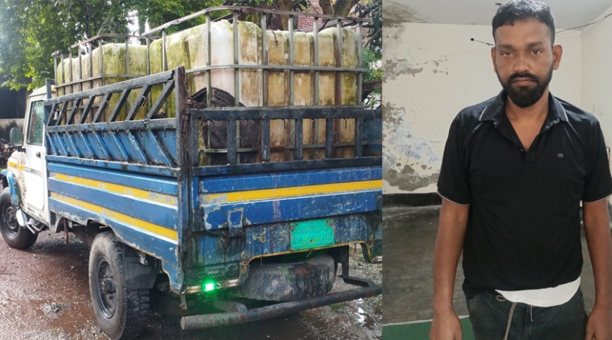 মণিরামপুর ও চৌগাছা থেকে মাদকসহ আটক ২
