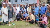 লোহাগড়ায় শ্রমিকদল নেতার বৃক্ষরোপণ
