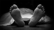 সাতক্ষীরায় সড়‌কে ঝর‌লো দুই প্রাণ