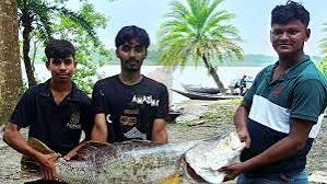 সুন্দরবনে ২০ কেজির কোরাল, বিক্রি ৩৬ হাজারে